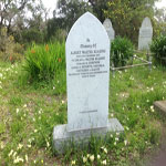 READING Albert Walter