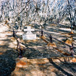 Alexander Auberon Francisco