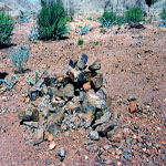 Croydon Goldfield Cemetery