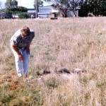 GILES Margaret Suzanne