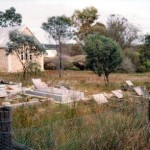 Dale St Johns of the wilderness