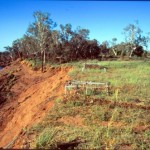 Fitzroy Crossing Pioneer Cemetery