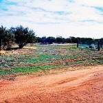 Wattoning Burial Ground