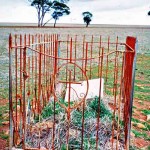 SANDILANDS Alexander