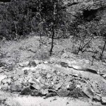 Roys Retreat East Kimberley