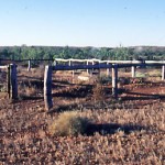COX Family Burial Ground 