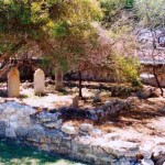 HUTTON family graveyard 