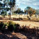 Wickepin Pioneer Cemetery