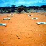 Darlot Woodara Cemetery